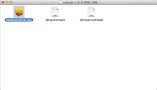 RunPkg